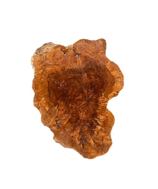 Baumscheibe (Litschi,50-60cm)