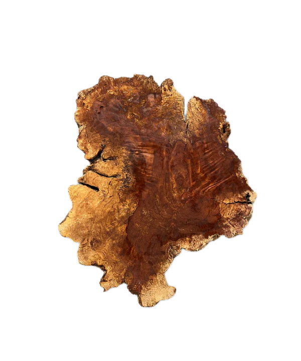 Baumscheibe (Litschi,70-80cm)