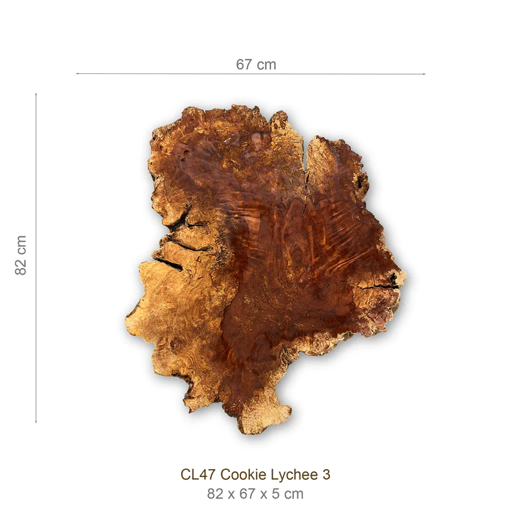 Baumscheibe (Litschi,70-80cm) – Bild 2
