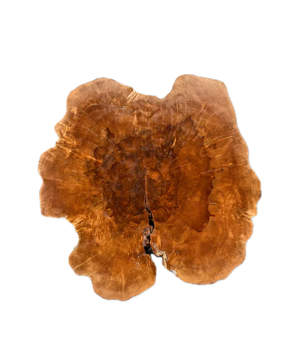 Baumscheibe (Litschi,50-60cm)