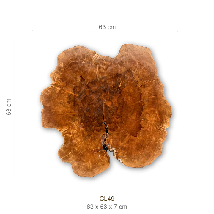 Baumscheibe (Litschi,50-60cm) – Bild 2