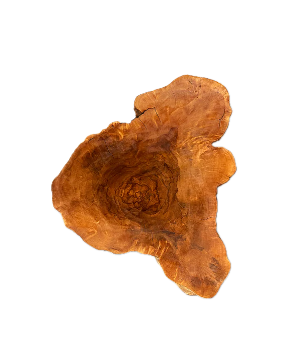 Baumscheibe (Litschi,50-60cm)