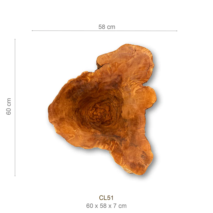 Baumscheibe (Litschi,50-60cm) – Bild 2