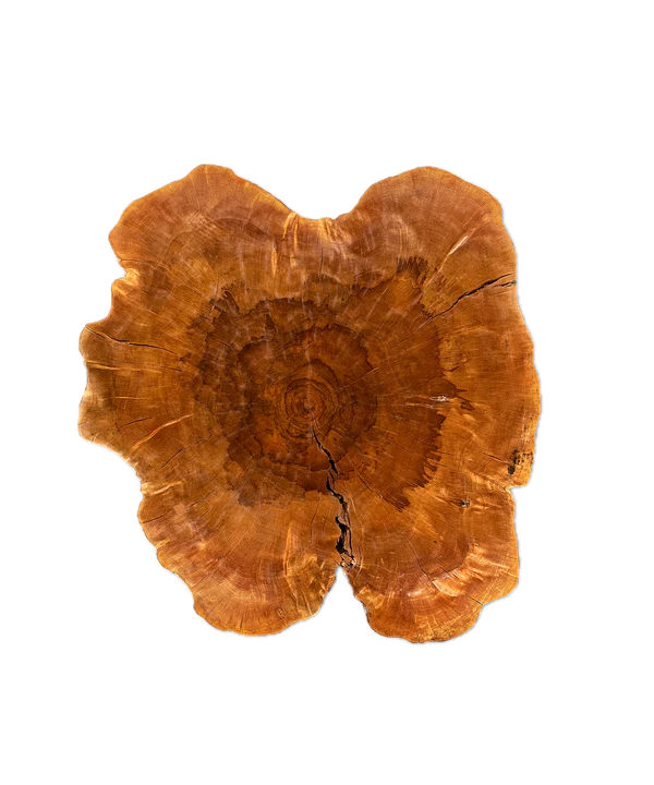 Baumscheibe (Litschi,50-60cm)