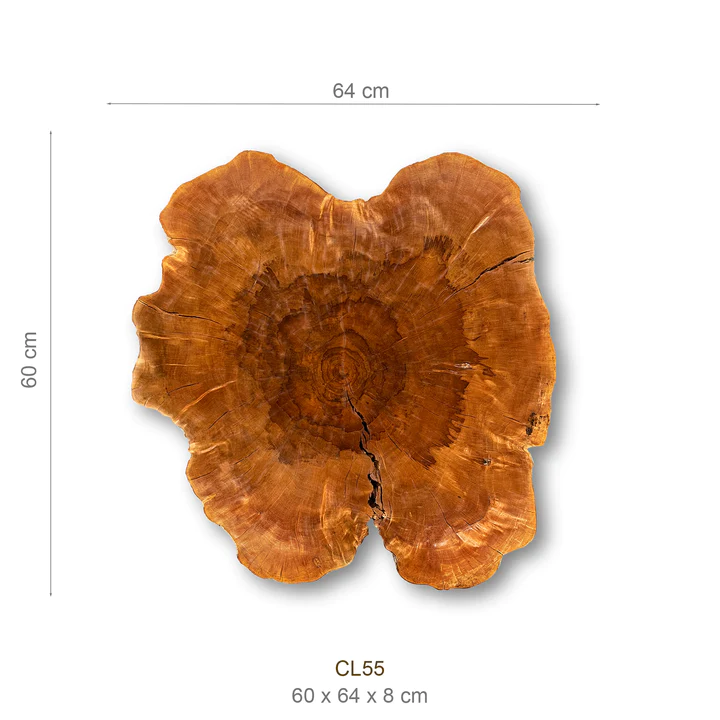 Baumscheibe (Litschi,50-60cm) – Bild 2