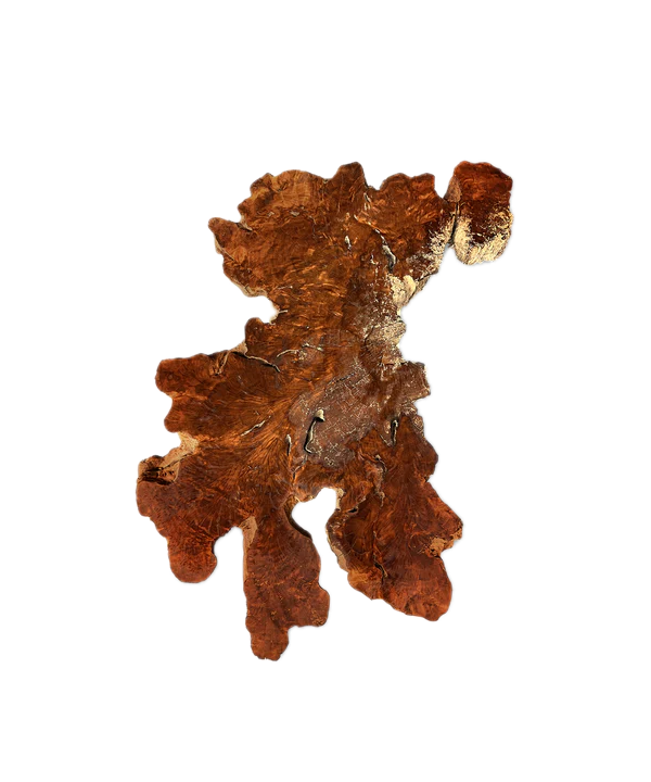 Baumscheibe (Litschi,70-80cm)