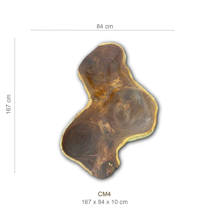 Baumscheibe (Mahagoni, 160-180cm) – Bild 2