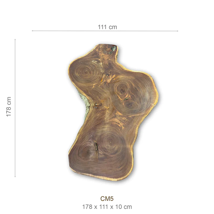 Baumscheibe (Mahagoni, 160-180cm) – Bild 2