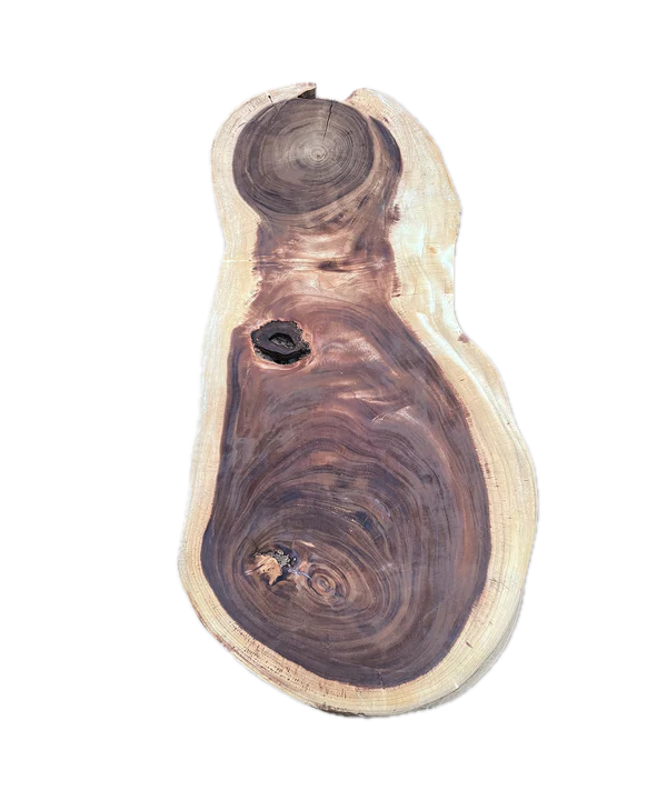 Baumscheibe (Suar,Oval)