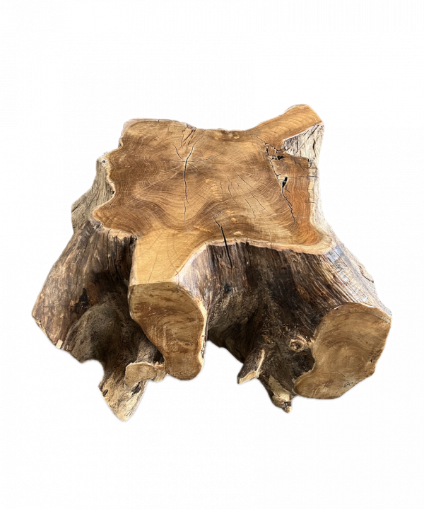 Wurzeltisch (Teak)