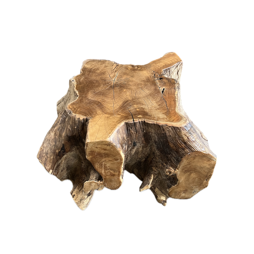 Wurzeltisch (Teak)