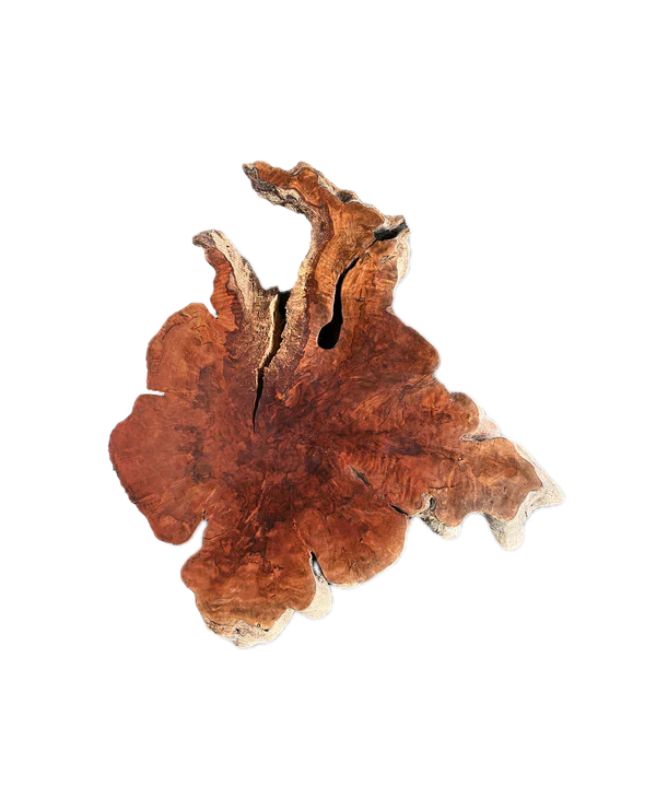 Baumscheibe (Litschi,98-105cm)