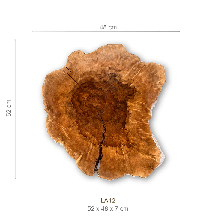 Baumscheibe (Litschi,50-60cm) – Bild 2
