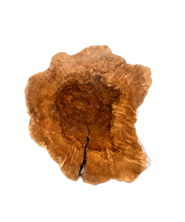 Baumscheibe (Litschi,50-60cm)