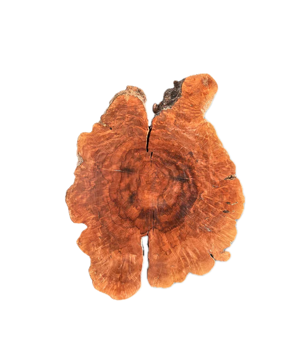 Baumscheibe (Litschi,70-80cm)