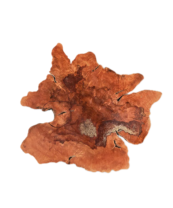 Baumscheibe (Litschi,70-80cm)