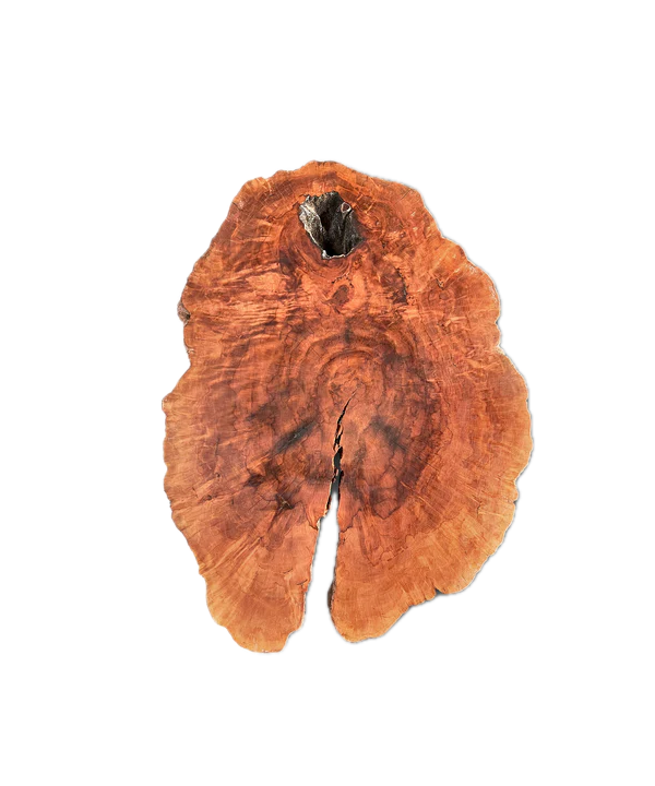 Baumscheibe (Litschi,70-80cm)