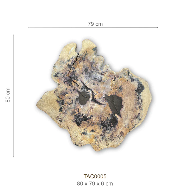 Baumscheibe (Tamarinde) – Bild 2